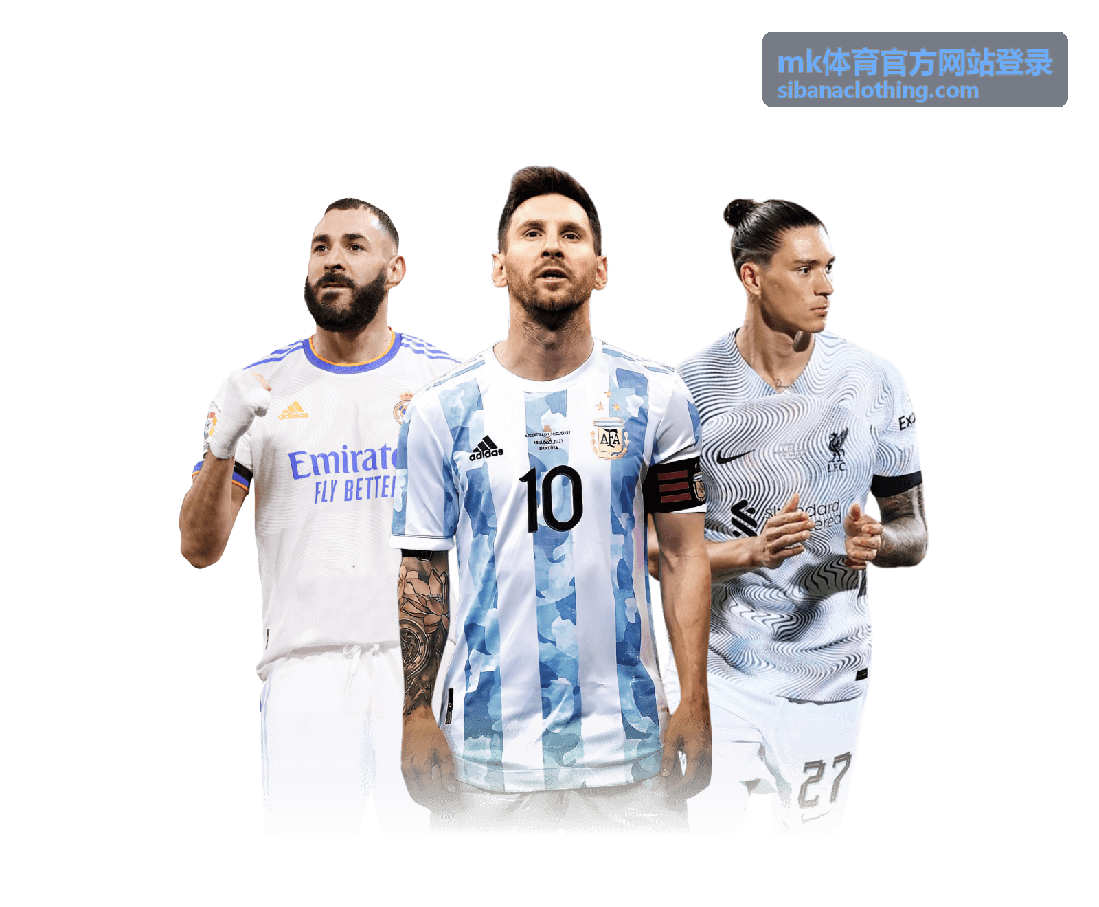 mk体育官方网站登录 账号登录基础流程